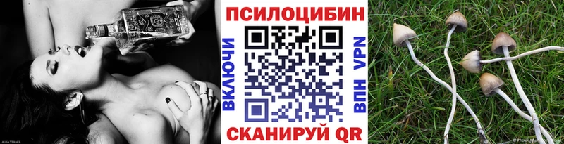 Галлюциногенные грибы Psilocybine cubensis  KRAKEN зеркало  Хадыженск  где продают  